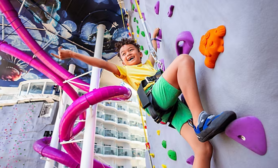 Rock Climbing Wall